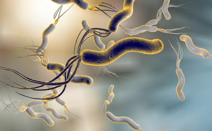 Helicobacter pylori – armik apo mik?