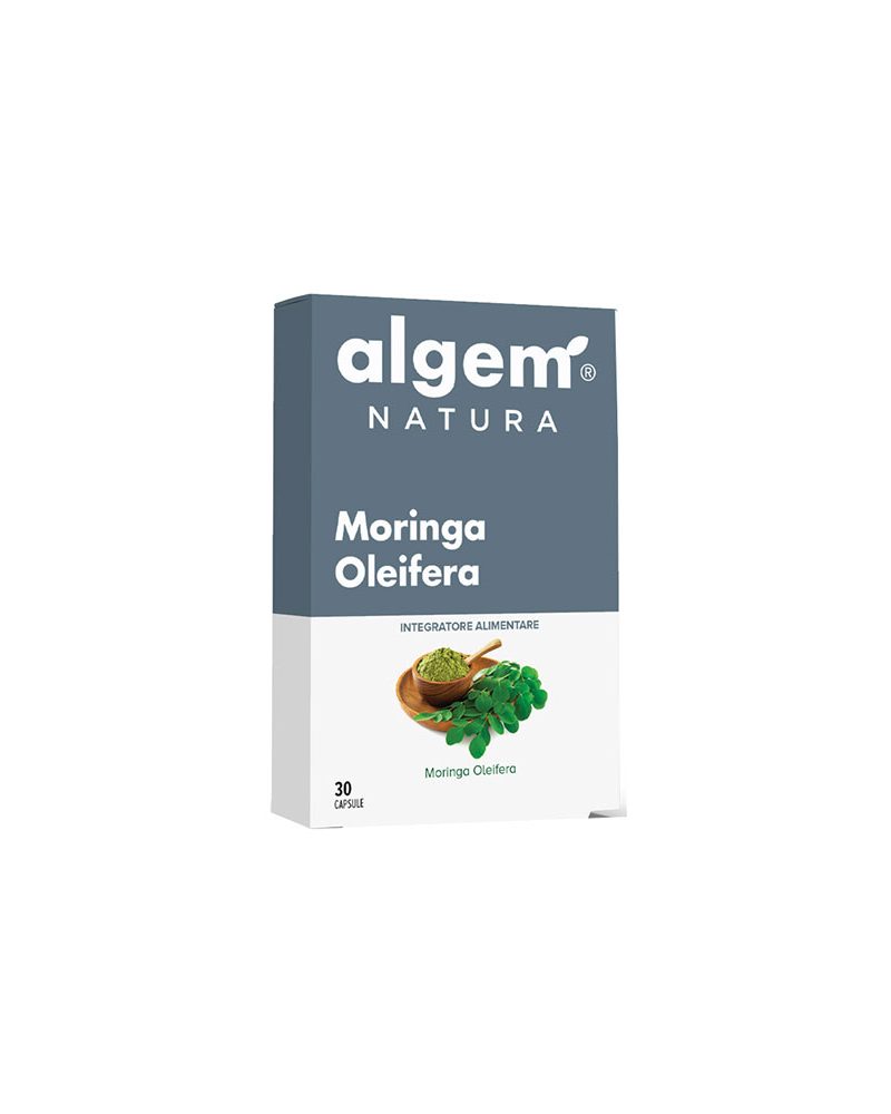 Moringa Oleifera